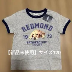 【新品未使用】BREEZE Tシャツ サイズ120
