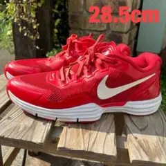 NIKE LUNAR TR1 28.5cm ナイキ ルナ