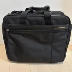 ACEGENE エース　キャリーバッグ　ソフト　出張　2輪　TSAロック