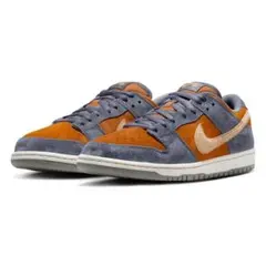 新品 27cm NIKE DUNK SB ライトカーボン HF3063-002