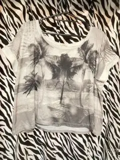ヤシの木 Tシャツ 夏物