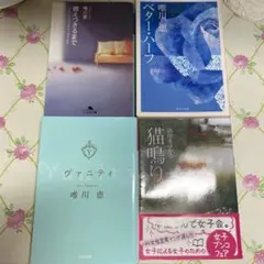 唯川恵　　沼田まほかる　まとめ売り