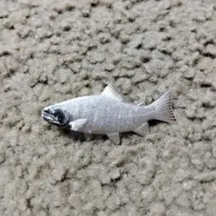 長良川 魚型 ネクタイピン　鮎　純銀