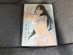 C106 コミケ106 青春ブタ野郎は作画を修正できない1 たむらみかん　青ブタ