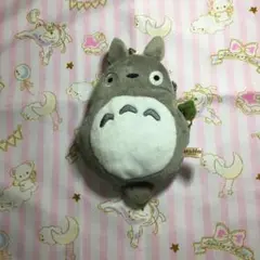 となりのトトロパスケース