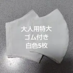 大人用特大布マスクセット