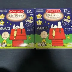蒸気でアイマスク 12×2箱