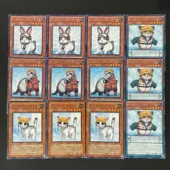 遊戯王　レスキューキャット　ラット　フェレット　ラビット　各3枚