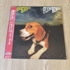 菊池ひみこ / Flying Beagle【完全生産限定盤】