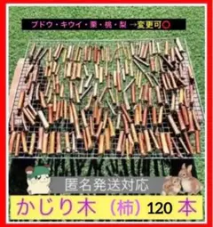 Item thumbnail for item 3489d8ed-d30e-4354-a932-7959a9fc24a2