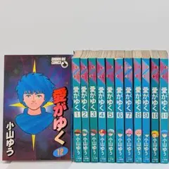 愛がゆく全12巻セット 小山ゆう 全巻