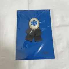 入手困難商品！ 『 Ad 』カムパネルラ vipブローチ 入手困難商品！ 『 Ad 』カムパネルラ vipブローチ