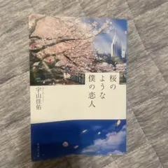 桜のような僕の恋人 宇山佳祐