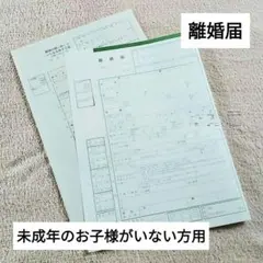 匿名発送 離婚届 未成年の子なし 離婚時の氏称する届け