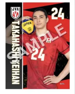 ネーションズリーグ　VNL 2025 ブロマイド　L版　高橋慶帆　髙橋慶帆