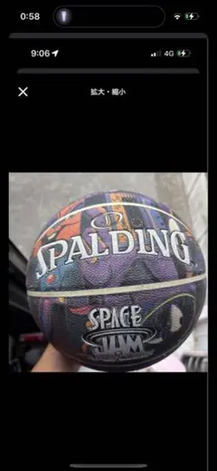 SPALDING SPACE JAM バスケットボール