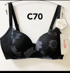 C70 トリンプ メッシュワイヤーブラジャー