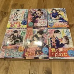 一途な海上自衛官の甘すぎる溺愛予報(仮)