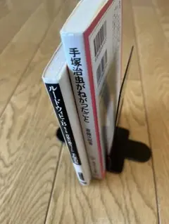 手塚治虫が願ったこと　ルードウィヒb