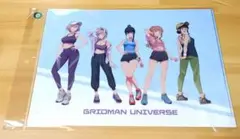 グリッドマンユニバース　クリアファイル　スポーツウェア ver．　新品未開封