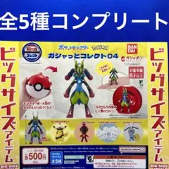 ポケモン　ガシャっとコレクト04 全5種コンプ　ガチャ メガルカリオ　ピカチュウ