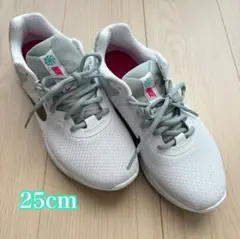 NIKE レボリューション６　25cm