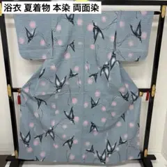 浴衣 夏着物 本染 両面染 注染 水玉に蝶々 夏物 着物 木綿 AK-8006
