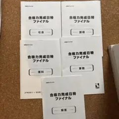 日能研　合格力完成日特ファイナル　4教科