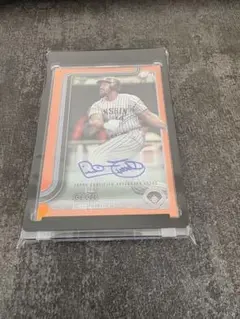 Item thumbnail for item 8091ed1d-38ea-4358-afd9-c428a83ee49d