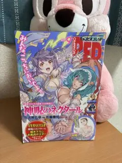 チャンピオンRED 2025年9月号