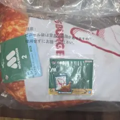 Item thumbnail for item ad9cac83-9049-45ff-8186-6a5d8beb3dc8