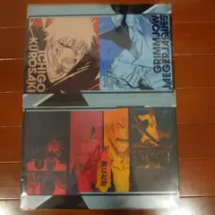 BLEACH THE LOCUS OF BRAVEⅡ　クリアファイル