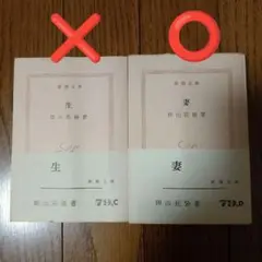 《専用のお品》田山花袋　妻　新潮文庫