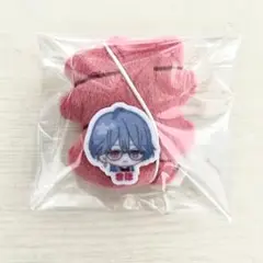 ブレイクマイケース ブレマイ わちゃねーむ プライズ 在間樹帆 ありまきほ
