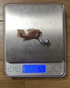 義歯 金属 アクリル 5.3g