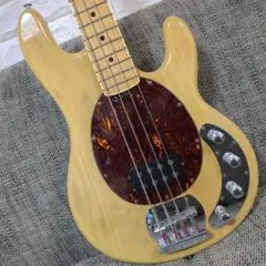 ミュージックマンタイプの抜け殻ジャンク 2025年最新】ジャンク MUSICMAN stingrayの人気アイテム - メルカリ