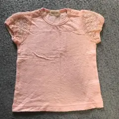 キッズズー Tシャツ
