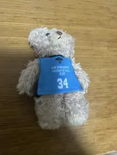 佐賀バルーナーズ 井上選手 ベアー