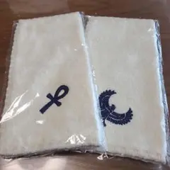 Item thumbnail for item 409cda63-12de-4e88-8828-68f7ca822893