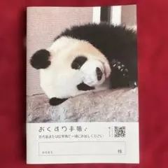 ★新品★パンダおくすり手帳　薬　すやすやパンダお薬手帳