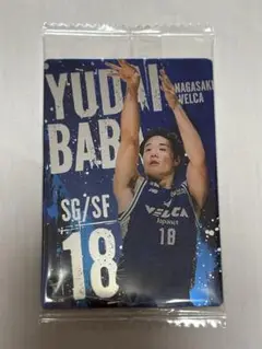 【ツインウエハース】Bリーグ日本代表 馬場雄大