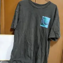 air jordan unionとなんかしたTシャツ　S