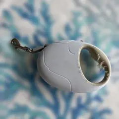 クジラ型ホワイトリード