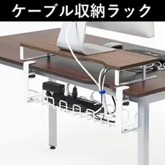 ★穴開け不要★ ケーブルラック 小物の収納にも 机ガード機能 白 他カラー有