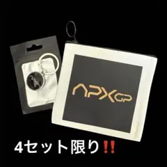 F1 エイペックス小物入れ＆キーホルダー　特別お買い得セット