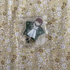 コナン 灰原哀 アクスタ