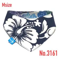 Item thumbnail for item 21c5d79d-c94c-4789-94fa-0564ff8e80c7