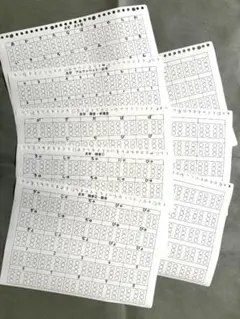 ルーズリーフ対応　点字　勉強　夏休み　宿題　自由研究　プリント　8枚　A4