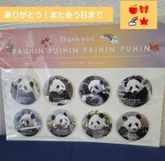 アドベンチャーワールド⭐良浜 結浜 彩浜 楓浜⭐缶バッジ