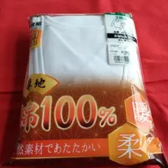 Item thumbnail for item f6b08d8c-8606-46ca-9660-5b23c799ecdc